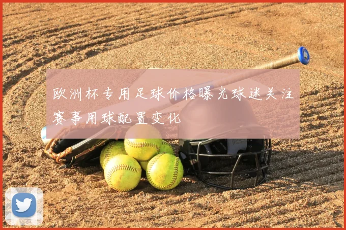 欧洲杯专用足球价格曝光球迷关注赛事用球配置变化